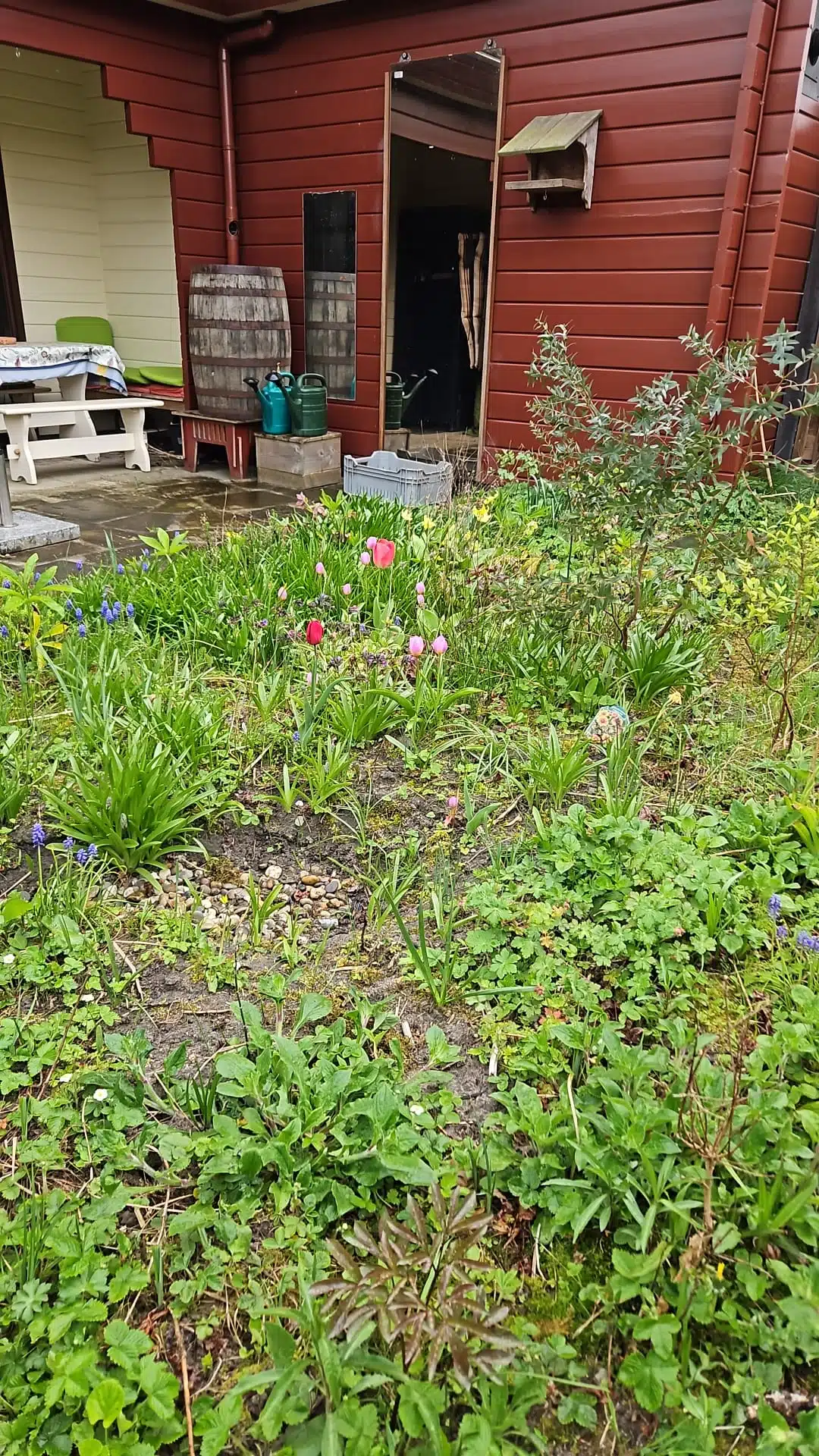 Afkoppelplek achtertuin Hanneke
