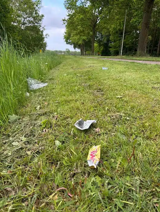 Zwerfafval Raalte